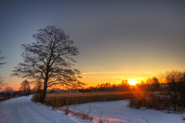 landscape winter trees and fields covered by snow in Poland, Europe on sunny day in winter, amazing clouds in blue sky	, river valley