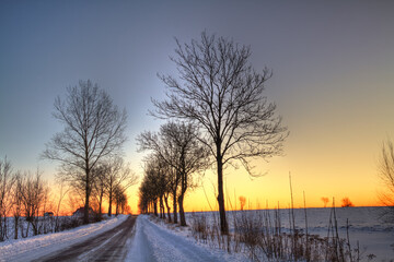 landscape winter trees and fields covered by snow in Poland, Europe on sunny day in winter, amazing clouds in blue sky	