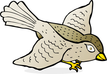 cartoon flying bird