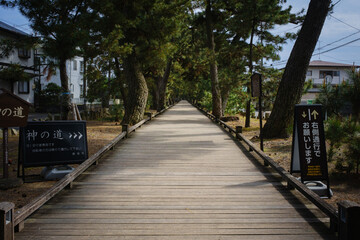 Wooden Boardwalk called 