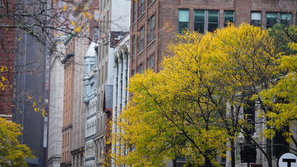 Fototapeta premium The beautiful campus autumn view with the colorful trees and leaves in the rainy day