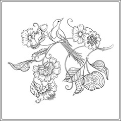 Fototapeta premium Fantasy flowers and bird, decorative flowers and leaves in art nouveau style, vintage, old, retro style. Coloring page for the adult coloring book. Vector illustration.