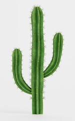 Realistic 3D Render of Saguaro Cactus