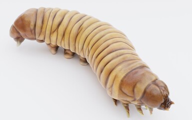 Realistic 3D Render of Wax Worm
