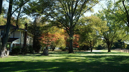 The beautiful autumn view with the colorful trees and leaves in the park