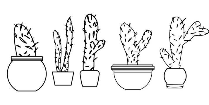 set of plants cactus 