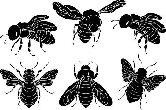 Set of honey bee logos. Vector drawings of bees.
