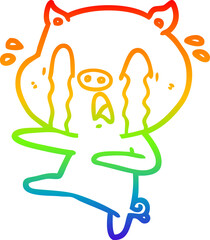 rainbow gradient line drawing of a crying pig cartoon