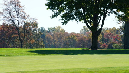 The beautiful autumn view with the colorful trees and leaves in the park