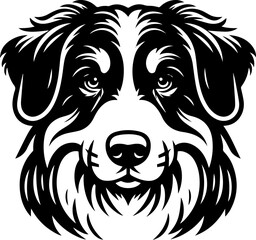 Bernese Shepherd icon