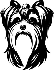 Biewer Terrier icon