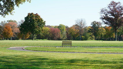 The beautiful autumn view with the colorful trees and leaves in the park