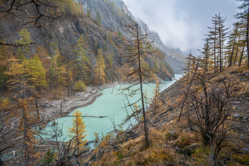 Fototapeta na wymiar Lake Maashey in autumn, Altai Mountains, Southern Siberia, Russia.