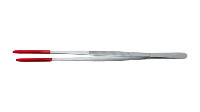 Handling and feeding tweezers for exotic animals. Isolated