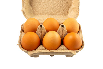 Six eggs in packaging paper mould box isolated on white background.