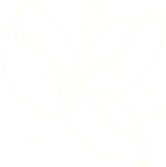 Coffee Beans Chalk Drawing