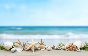 Assortment of seashells and starfish lined up on a sunny beach with ocean waves in the background..