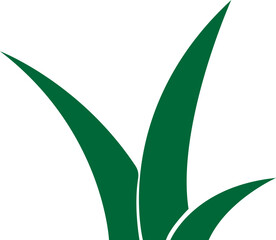 Green Fill Lawn grass Icon. Cartoon of plant and shrubs for boarding and framing, eco and organic logo element. Vector spring field planting shape lawn or garden on Transparent background.