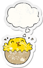 cartoon hatching chick with thought bubble as a distressed worn sticker
