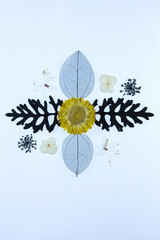 A mandala made of flowers and leaves on a white background.