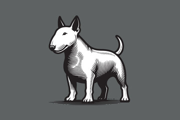 Beautiful vintage engraving illustration of a white bull terrier dog. Miniature Bull Terrier. Monochrome logo. Woodcut, tattoo. On a gray background