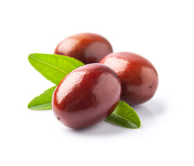 Jojoba with leaves on white backgrounds
