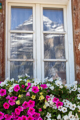 view on a window of an old house with swiss mountains mirroring in the glass and beautiful flowers blooming infront of it
