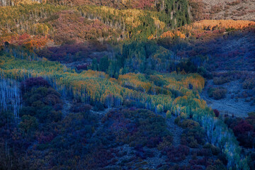 Colorado Autumn