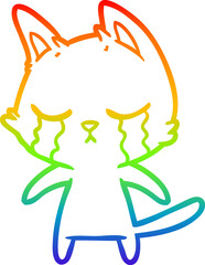 rainbow gradient line drawing of a crying cartoon cat