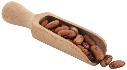 Pinto bean or speckled bean