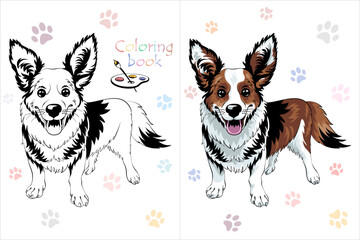 Vector Coloring Book page 2 of dog Pembroke Welsh corgi breed staying and smiling - obrazy, fototapety, plakaty