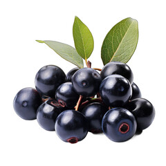 Chokeberry isolated on transparent background