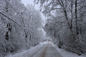 Obraz premium Neige