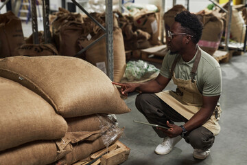 Side view portrait of Black young man inspecting coffee bags in warehouse while working in...