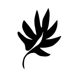 collection of leaves