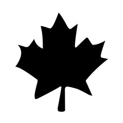 collection of leaves