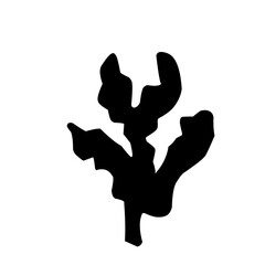 Obraz premium collection of leaves