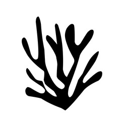 collection of leaves