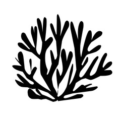 collection of leaves