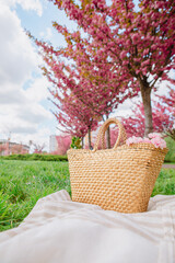 picnic blanket with straw hat and bag on green grass covered with pink sakura flowers © phpetrunina14