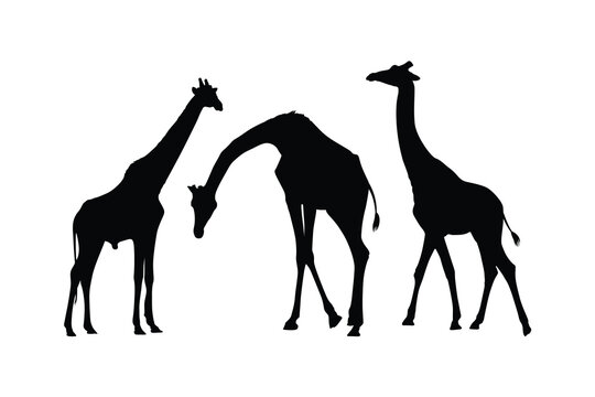 Hand drawn giraffe silhouette design