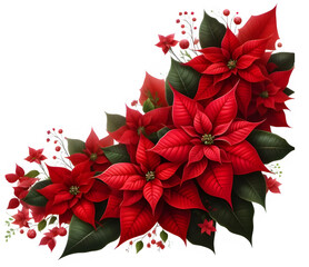 Christmas poinsettia red flowers in a floral wave isolated on transparent background