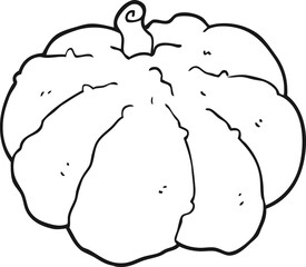cartoon squash