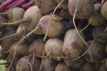 beets on market