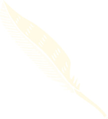 flat color illustration cartoon feather