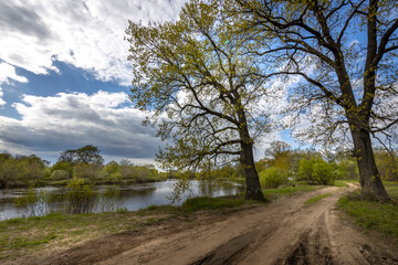 Rural spring with a dirt road. landscape with trees and branches against a cloudy sky