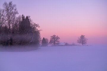 House and Forest at Cold Winter Sunrise