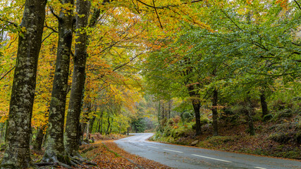 Autumn landscape at Geres National Park