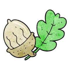 freehand textured cartoon acorn