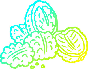 cold gradient line drawing of a walnuts